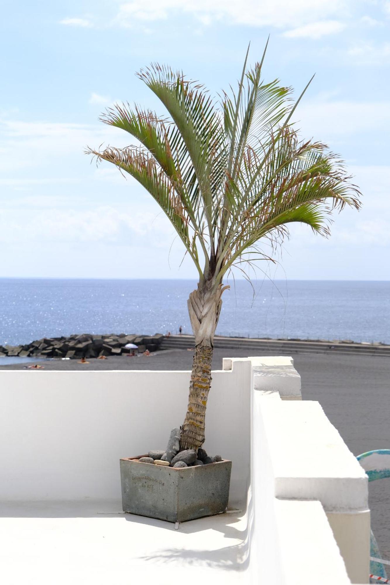 Rooftop Dreamhouse - 3Br With Seaviews Santa Cruz de la Palma  Dış mekan fotoğraf